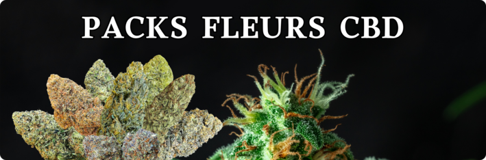 Pack fleur CBD premium avec fleurs légales et sélectionnées